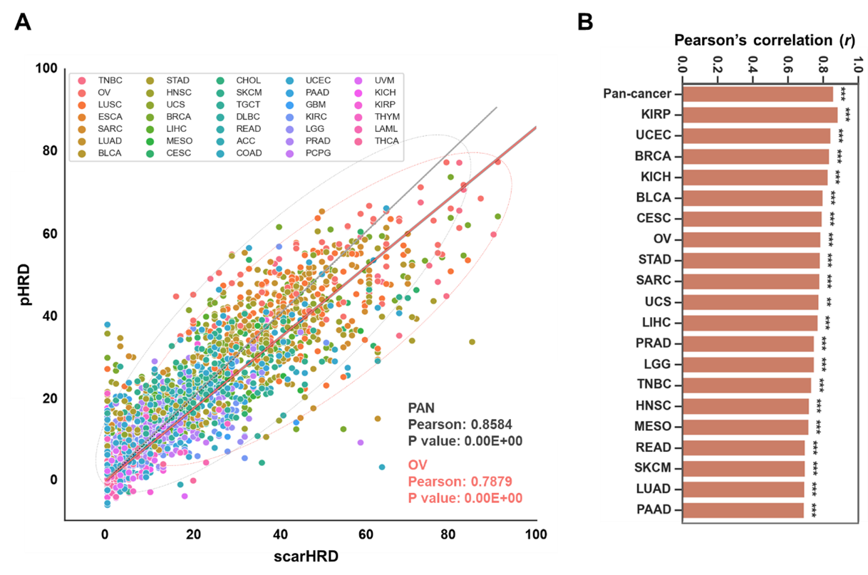 Figure 2. Machine-learning-based prediction of HRD in the TCGA-pan cancer cohort